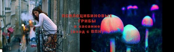 альфа пвп Заволжск