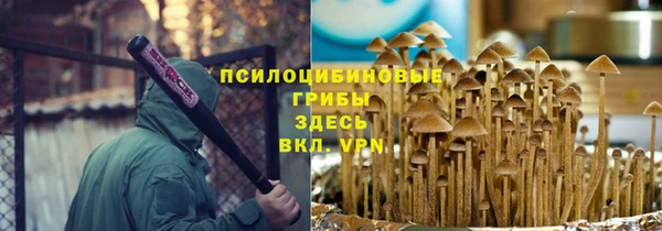 альфа пвп Заволжск